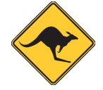 Sydney Skippycoin ICG